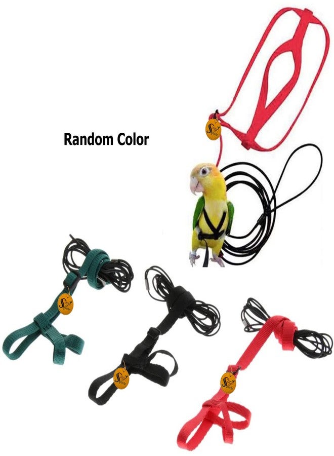 Sage Square Bird Harness Adjustable Durable Reusable Safe Great for Training, Exercise & Playing for Quakers, Senegals, Doves, Medium Parakeets, Rainbow Lorikeets, Rosellas (Random, Extra Small) - Image 2